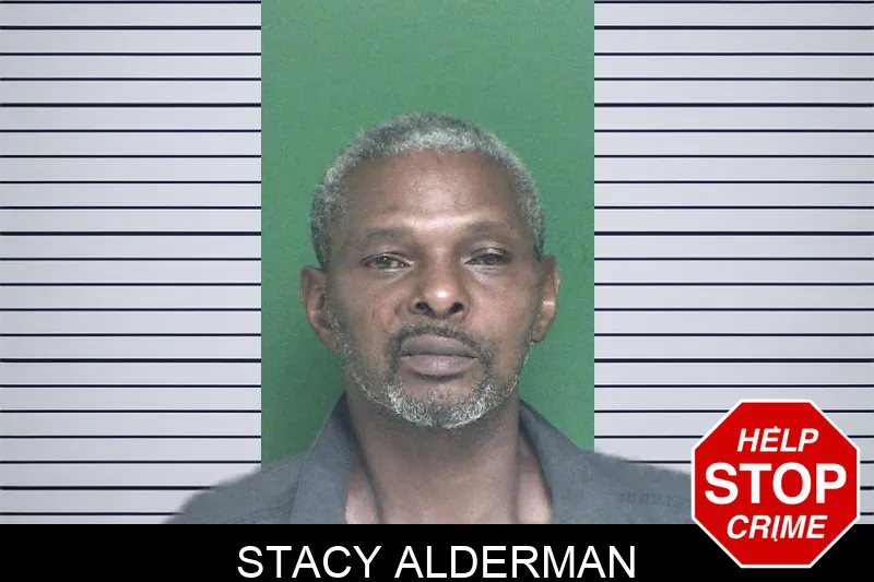 Stacy Alderman mugshot