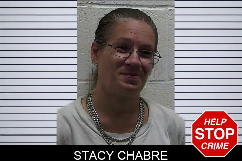 Stacy Chabre mugshot