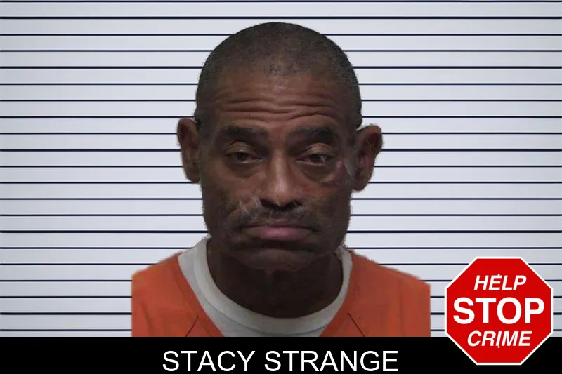 Stacy Strange mugshot – Laurens County , Georgia Stacy Strange mugshot