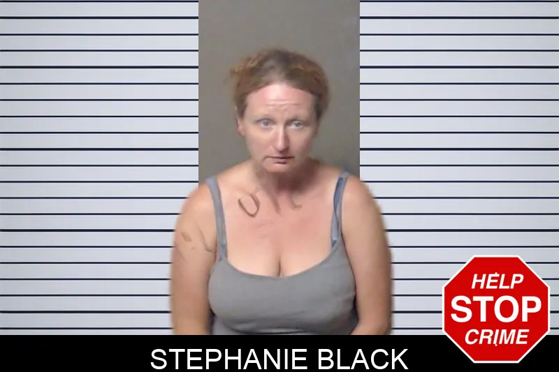Stephanie Black mugshot – DeKalb County , Georgia Stephanie Black mugshot