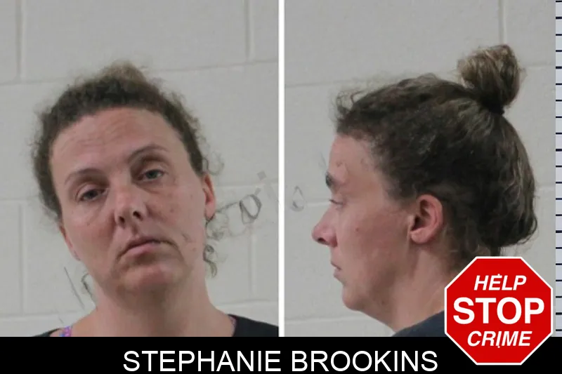 Stephanie Brookins mugshot – Houston County , Georgia Stephanie Brookins mugshot