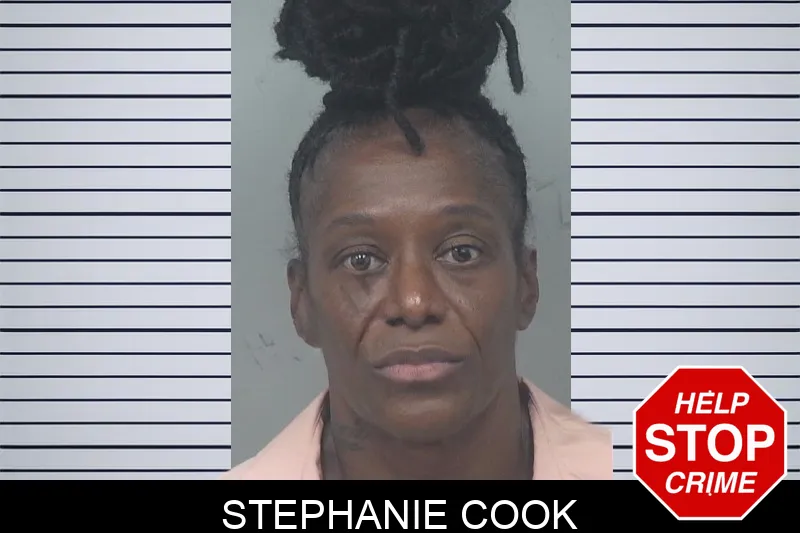 Stephanie Cook mugshot
