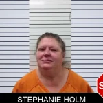 Stephanie Holm mugshot – Pickens County , Georgia Stephanie Holm mugshot