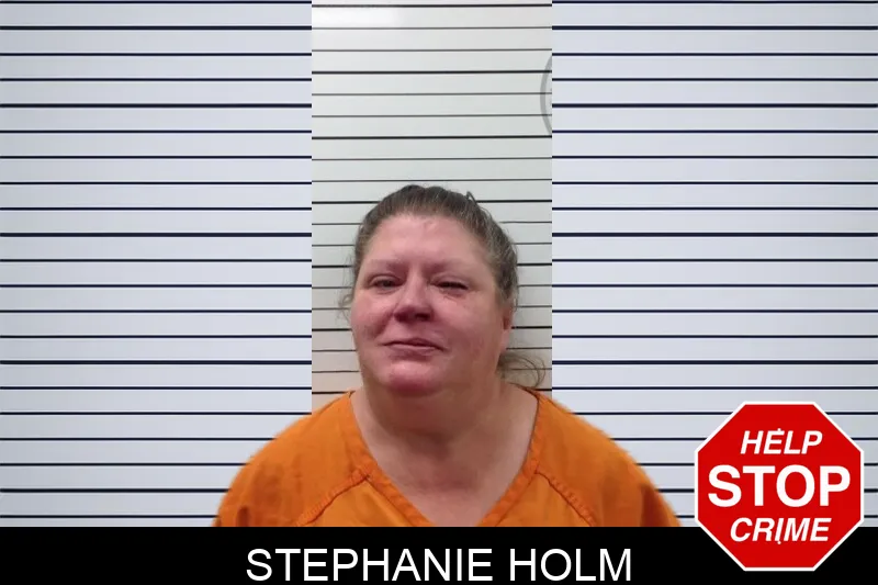 Stephanie Holm mugshot – Pickens County , Georgia Stephanie Holm mugshot
