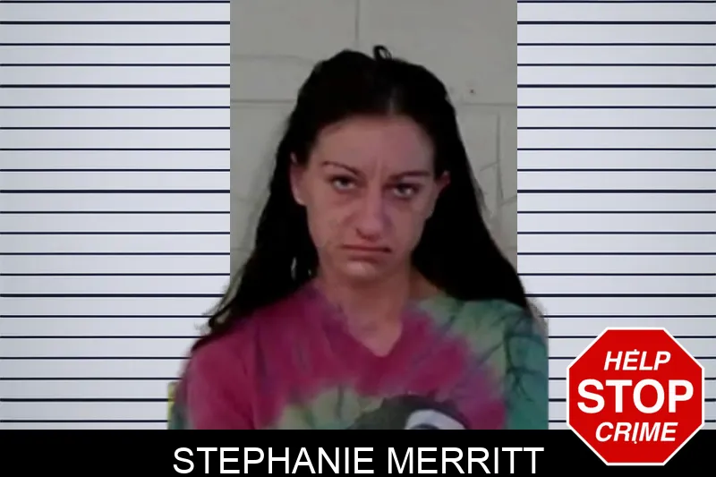 Stephanie Merritt mugshot – Liberty County , Georgia Stephanie Merritt mugshot