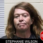Stephanie Wilson mugshot – Haralson County , Georgia Stephanie Wilson mugshot