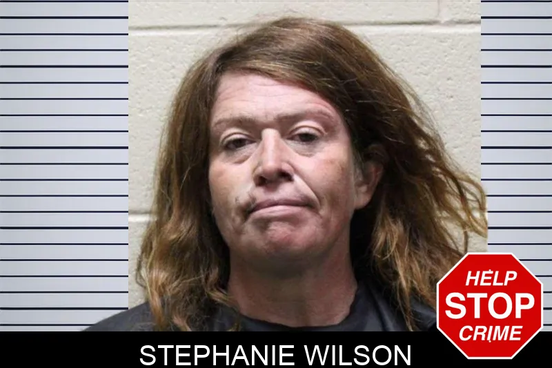Stephanie Wilson mugshot – Haralson County , Georgia Stephanie Wilson mugshot