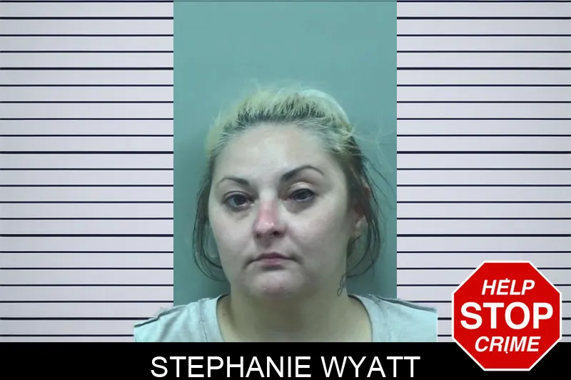 Stephanie Wyatt mugshot – Bleckley County , Georgia Stephanie Wyatt mugshot