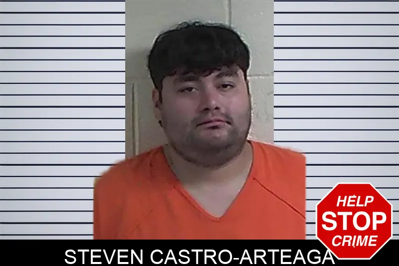 Steven Castro-Arteaga mugshot – Fannin County , Georgia Steven Castro-Arteaga mugshot