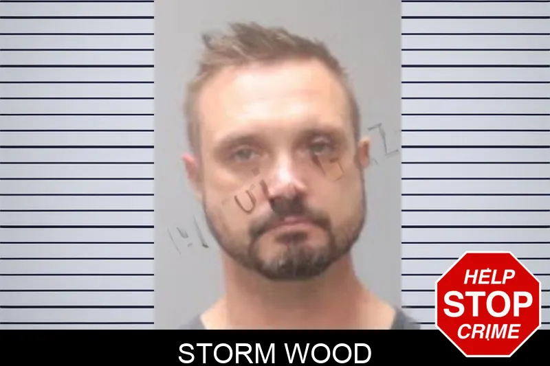 Storm Wood mugshot