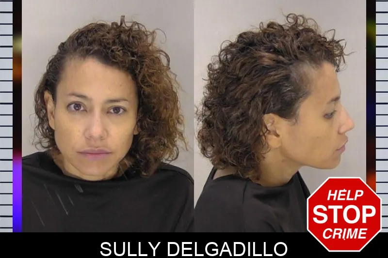 Sully Delgadillo mugshot