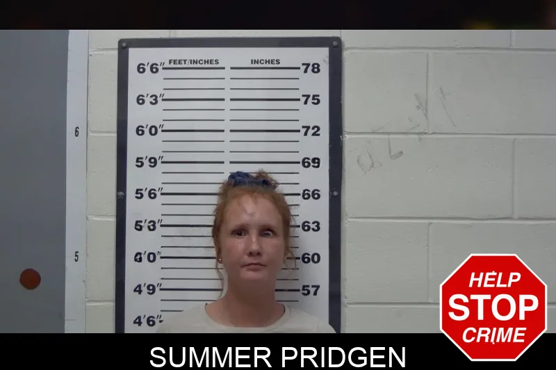Summer Pridgen mugshot – Irwin County , Georgia Summer Pridgen mugshot