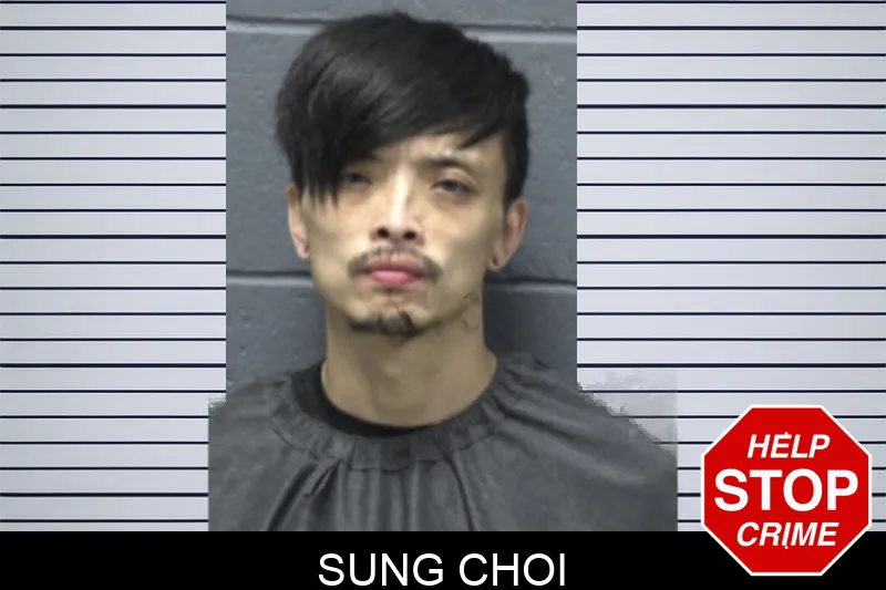 Sung Choi mugshot – Forsyth County , Georgia Sung Choi mugshot