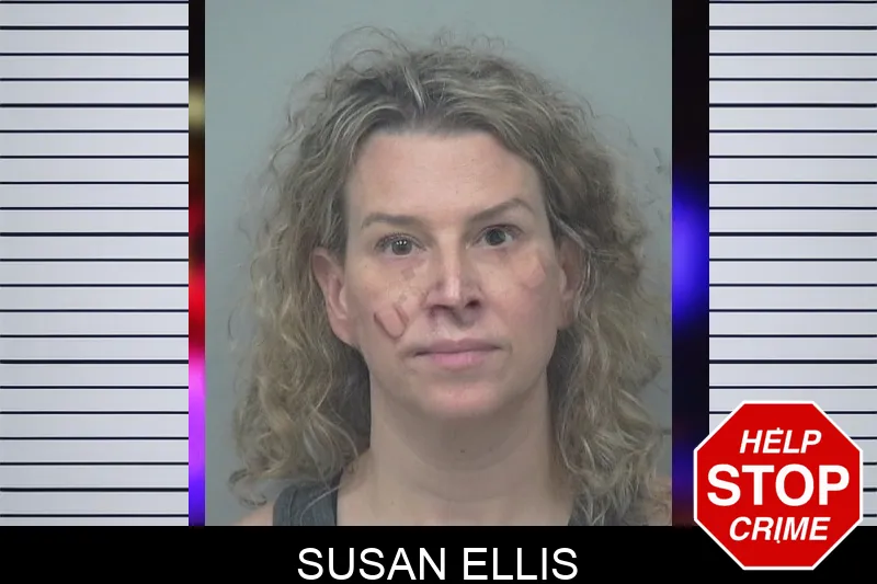 Susan Ellis mugshot – Gwinnett County , Georgia Susan Ellis mugshot