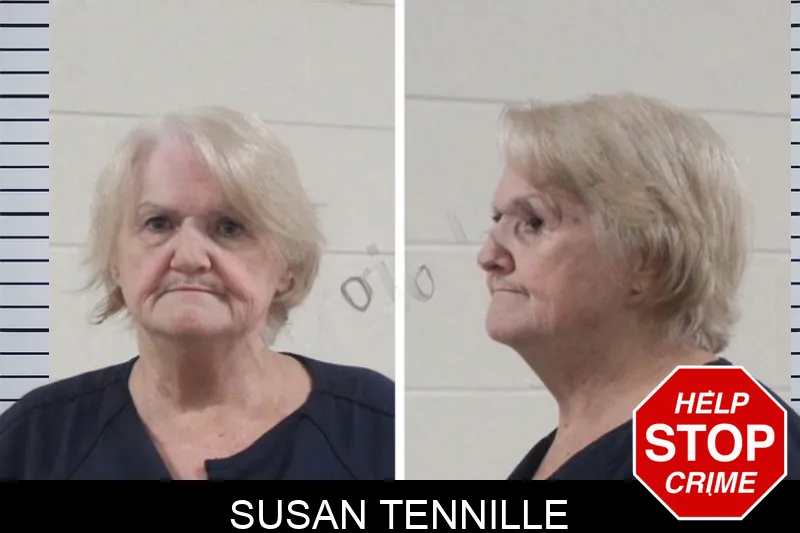 Susan Tennille mugshot – Houston County , Georgia Susan Tennille mugshot