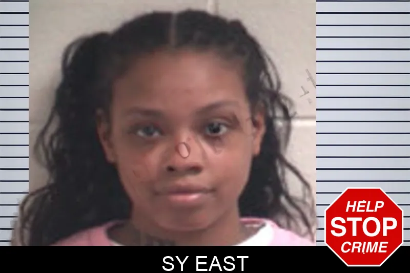 Sy East mugshot – Henry County , Georgia Sy East mugshot