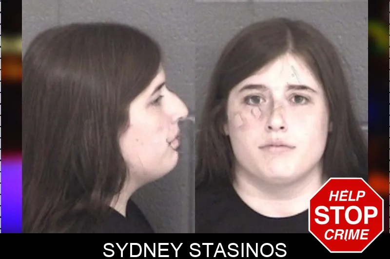 Sydney Stasinos mugshot – Barrow County , Georgia Sydney Stasinos mugshot