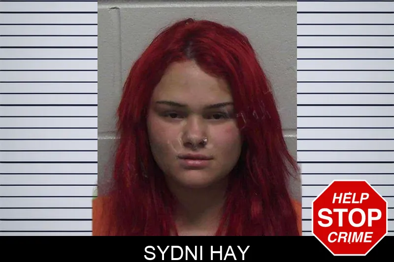 Sydni Hay mugshot