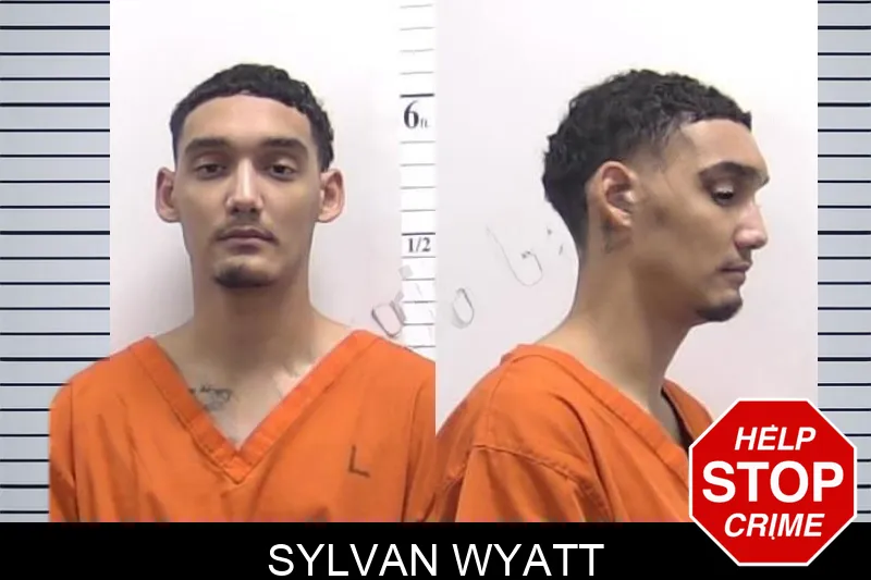 Sylvan Wyatt mugshot