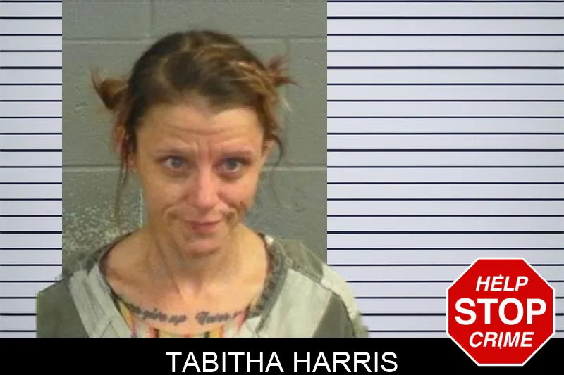 Tabitha Harris mugshot – Upson County , Georgia Tabitha Harris mugshot