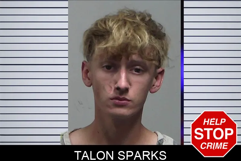 Talon Sparks mugshot – Tift County , Georgia Talon Sparks mugshot