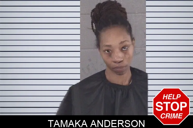 Tamaka Anderson mugshot – Spalding County , Georgia Tamaka Anderson mugshot