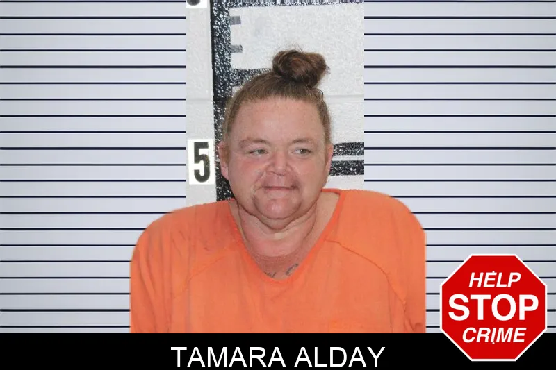 Tamara Alday mugshot – Murray County , Georgia Tamara Alday mugshot
