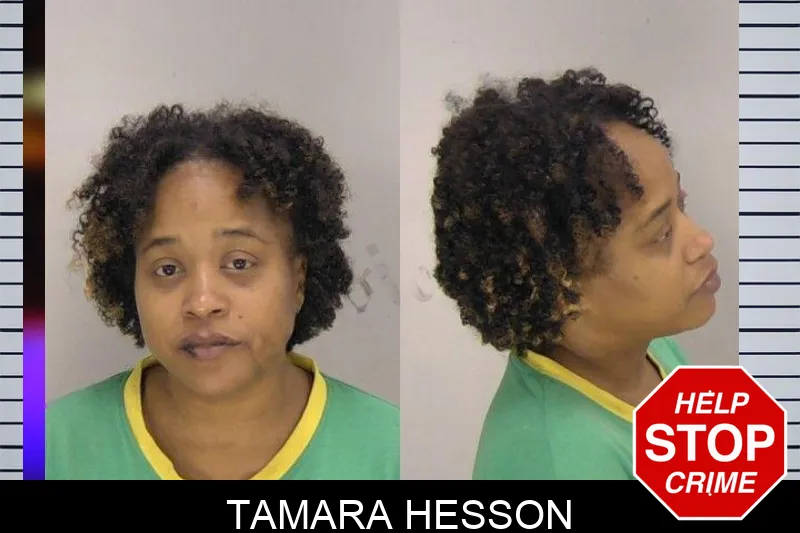 Tamara Hesson mugshot – Richmond County , Georgia Tamara Hesson mugshot