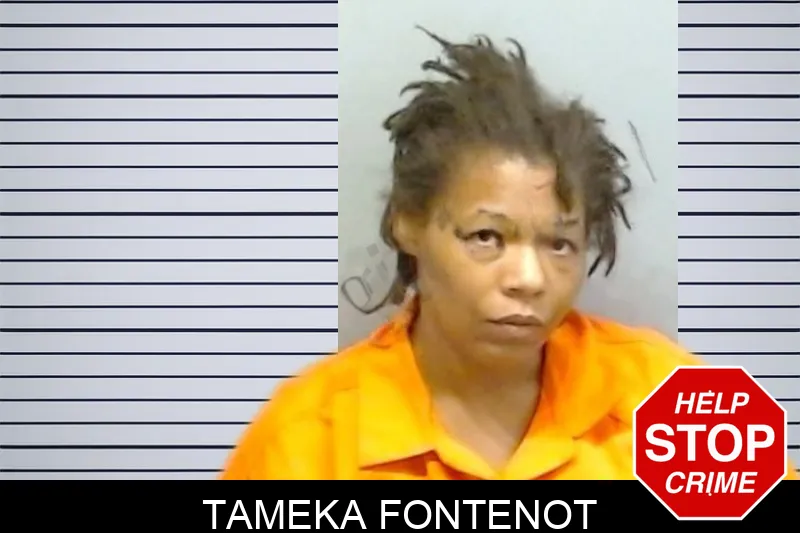 Tameka Fontenot mugshot – Fulton County , Georgia Tameka Fontenot mugshot