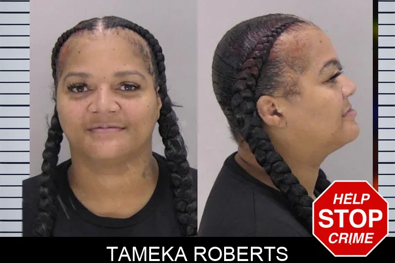 Tameka Roberts mugshot