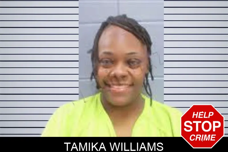 Tamika Williams mugshot – Lee County , Georgia Tamika Williams mugshot