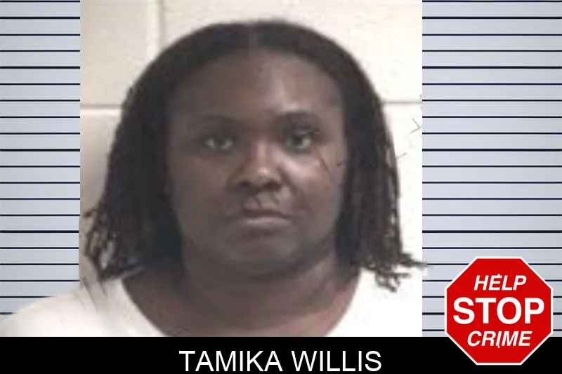 Tamika Willis mugshot