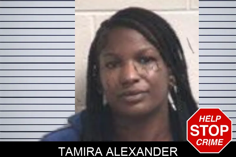 Tamira Alexander mugshot – Henry County , Georgia Tamira Alexander mugshot