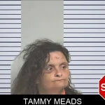 Tammy Meads mugshot – Berrien County , Georgia Tammy Meads mugshot