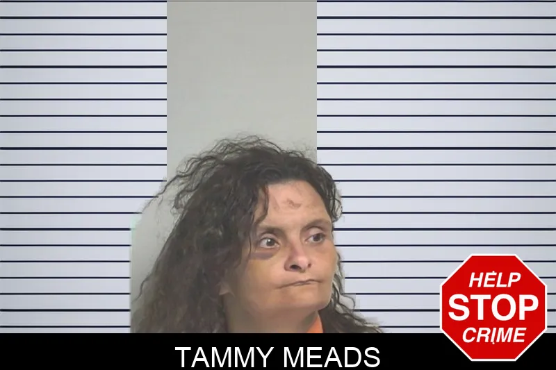 Tammy Meads mugshot