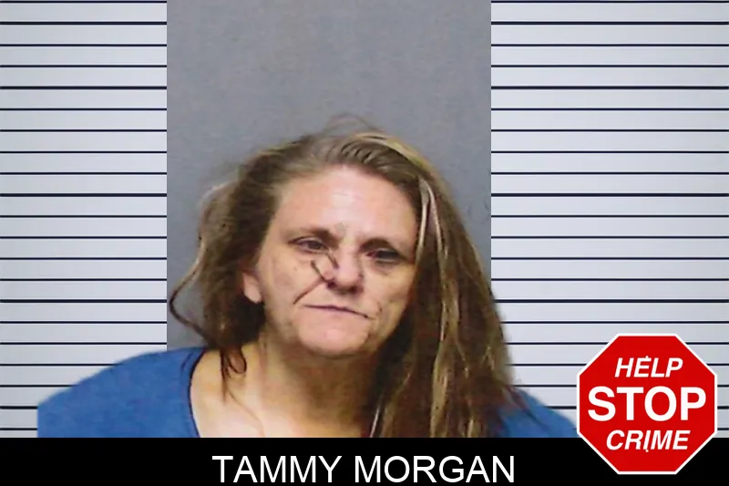 Tammy Morgan mugshot – White County , Georgia Tammy Morgan mugshot
