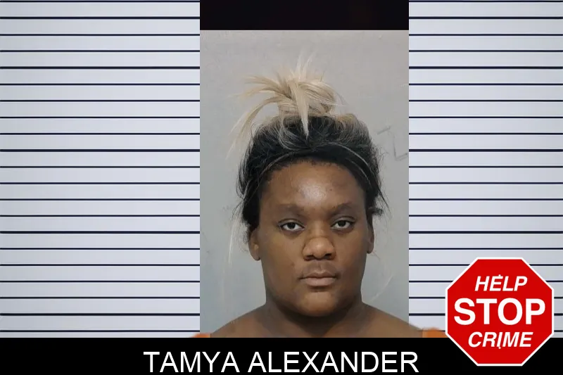 Tamya Alexander mugshot – Bibb County , Georgia Tamya Alexander mugshot