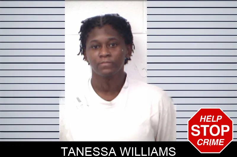Tanessa Williams mugshot