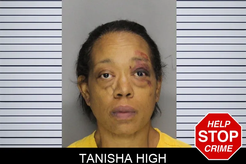 Tanisha High mugshot – Cobb County , Georgia Tanisha High mugshot
