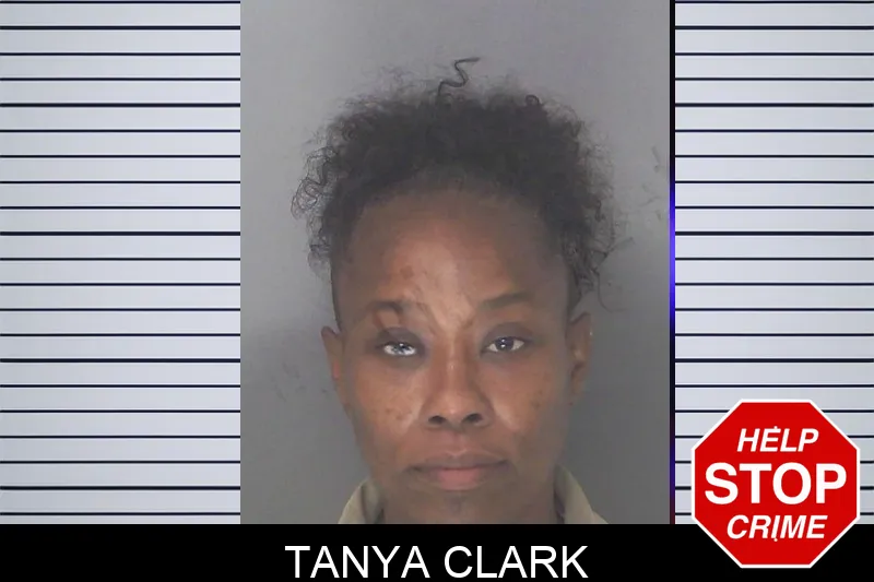 Tanya Clark mugshot – Douglas County , Georgia Tanya Clark mugshot