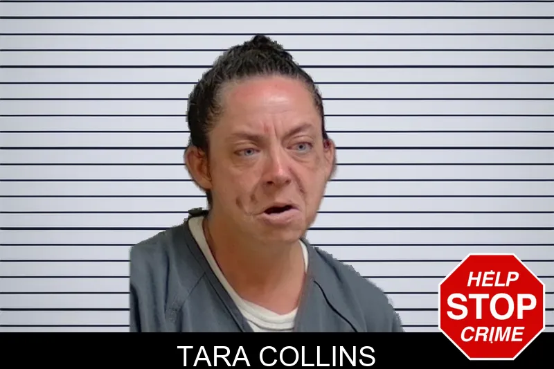 Tara Collins mugshot – Glynn County , Georgia Tara Collins mugshot