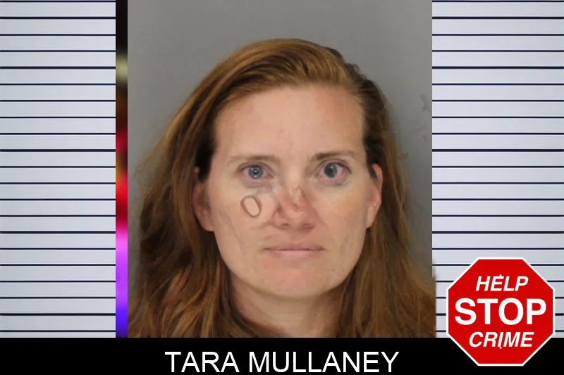 Tara Mullaney mugshot