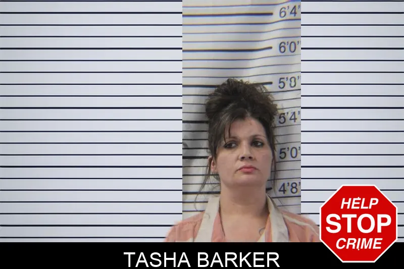Tasha Barker mugshot – Stephens County , Georgia Tasha Barker mugshot