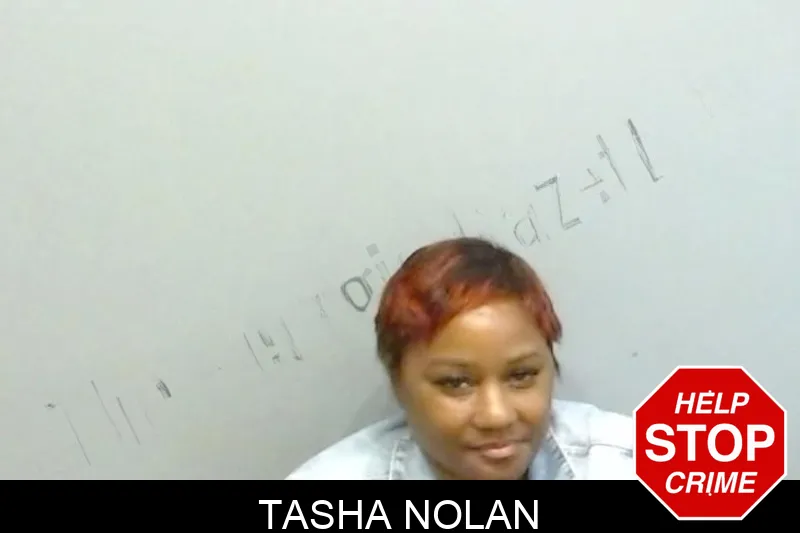 Tasha Nolan mugshot – Fulton County , Georgia Tasha Nolan mugshot