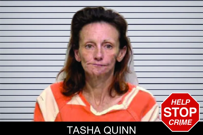 Tasha Quinn mugshot – Bartow County , Georgia Tasha Quinn mugshot