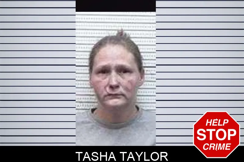 Tasha Taylor mugshot – Tattnall County , Georgia Tasha Taylor mugshot