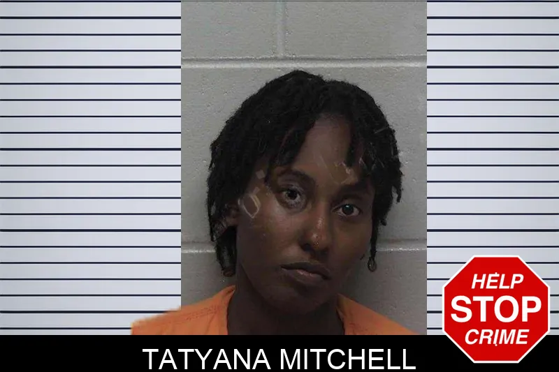 Tatyana Mitchell mugshot – Laurens County , Georgia Tatyana Mitchell mugshot