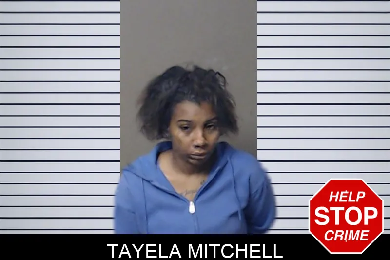 Tayela Mitchell mugshot – DeKalb County , Georgia Tayela Mitchell mugshot