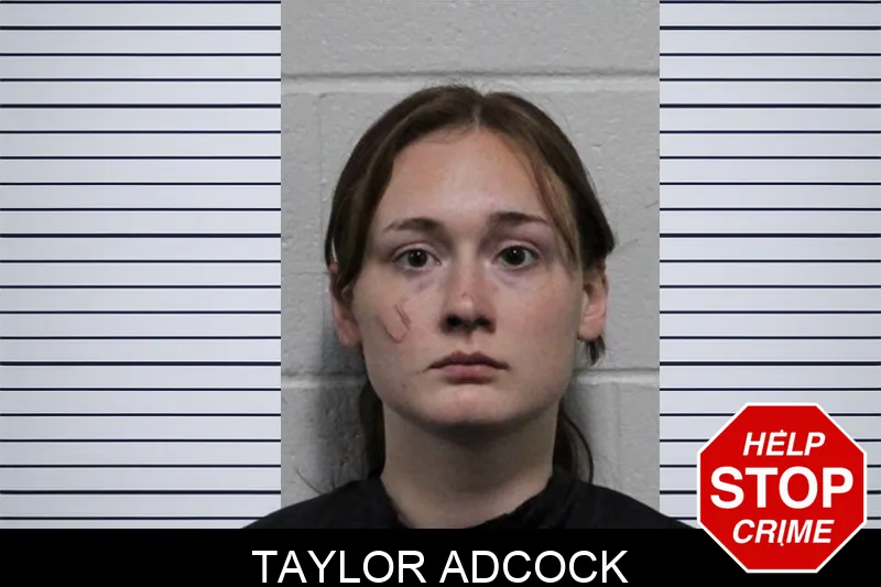 Taylor Adcock mugshot