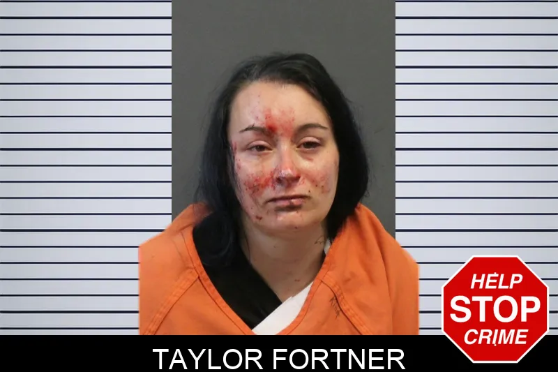 Taylor Fortner mugshot – Lumpkin County , Georgia Taylor Fortner mugshot